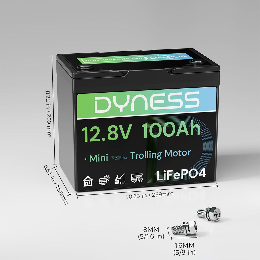Dyness 12V 100Ah LiFePO4 Battery Mini TM, BCI Group 24, 12V 100Ah Lithium Battery with Low-Temp Protection Built-in 100A BMS, 12.8V Deep Cycles Battery, Perfect for Trolling Motor, RVs, Boat, Marine