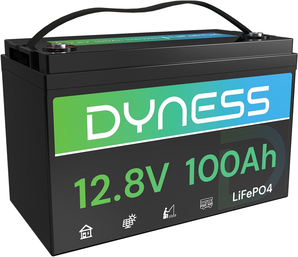 Dyness 12V 100Ah LiFePO4 Battery BCI Group 31 Lithium Battery with Low-Temp Cut Off Protection, A+ Grade Cell Built-in 100A BMS, Perfect for RV, Solar System, Off-Grid, Home Energy Storage