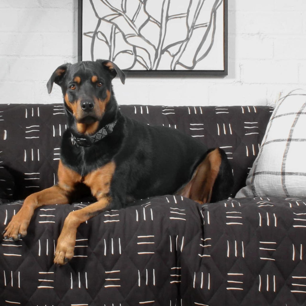 Molly Mutt 2-Seater Non-Slip Furniture Protector and Couch Cover for Dogs & Pets – Durable 100% Cotton Canvas and Non-Toxic Materials - 55' Wide x 78' Long