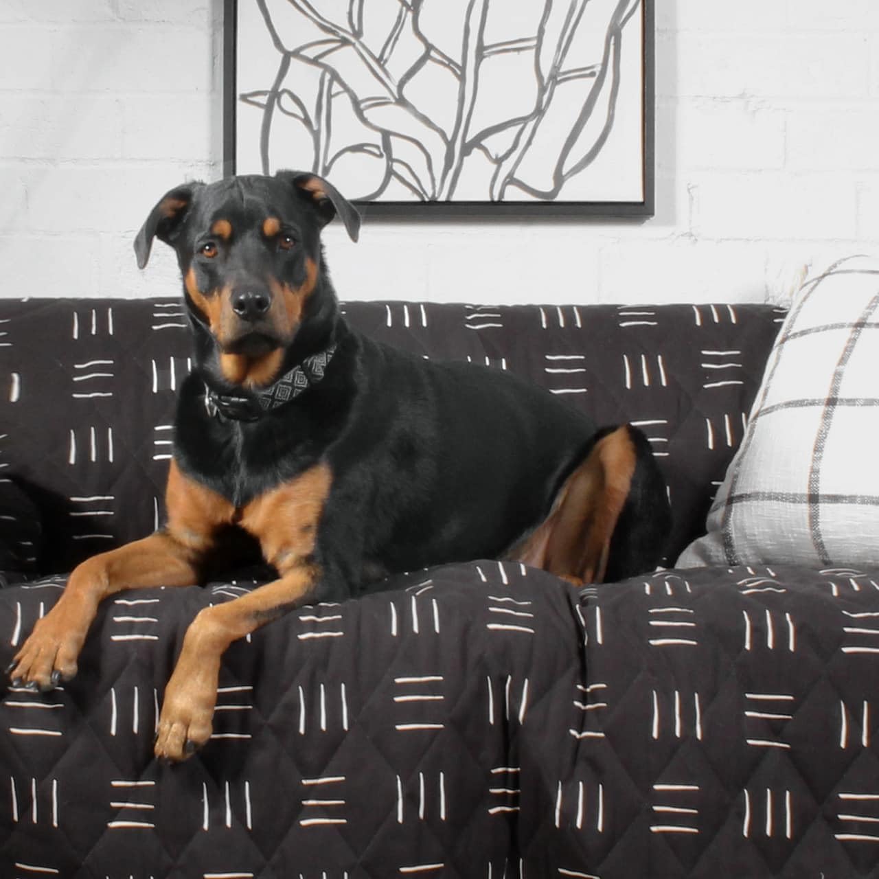 Molly Mutt 2-Seater Non-Slip Furniture Protector and Couch Cover for Dogs & Pets – Durable 100% Cotton Canvas and Non-Toxic Materials - 55' Wide x 78' Long