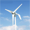 Wind Turbines Generator 1000W 24V Wind Turbine Generator with MPPT Controller Wind Turbine Generator with 8 Blades Small Wind Turbine for Home Use Low Noise High Efficiency (3 Turbine Only)