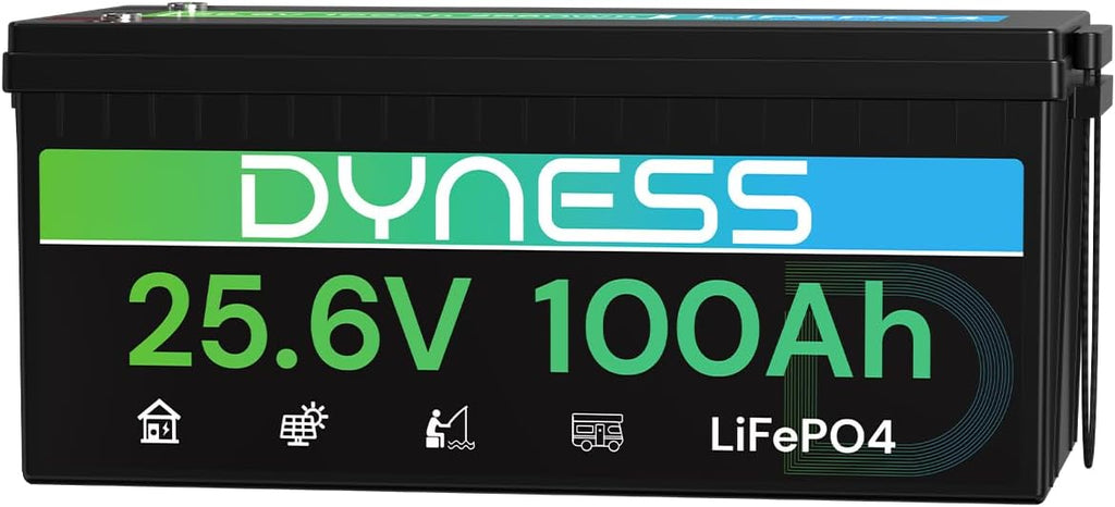 Dyness 24V 100Ah LiFePO4 Battery, 25.6V Lithium Battery with 2560W Power, Built-in 100A BMS with Low Temp Protection, Supports 4P2S Connection, Up to 20.48kWh, Perfect for RV, Solar System, Marine