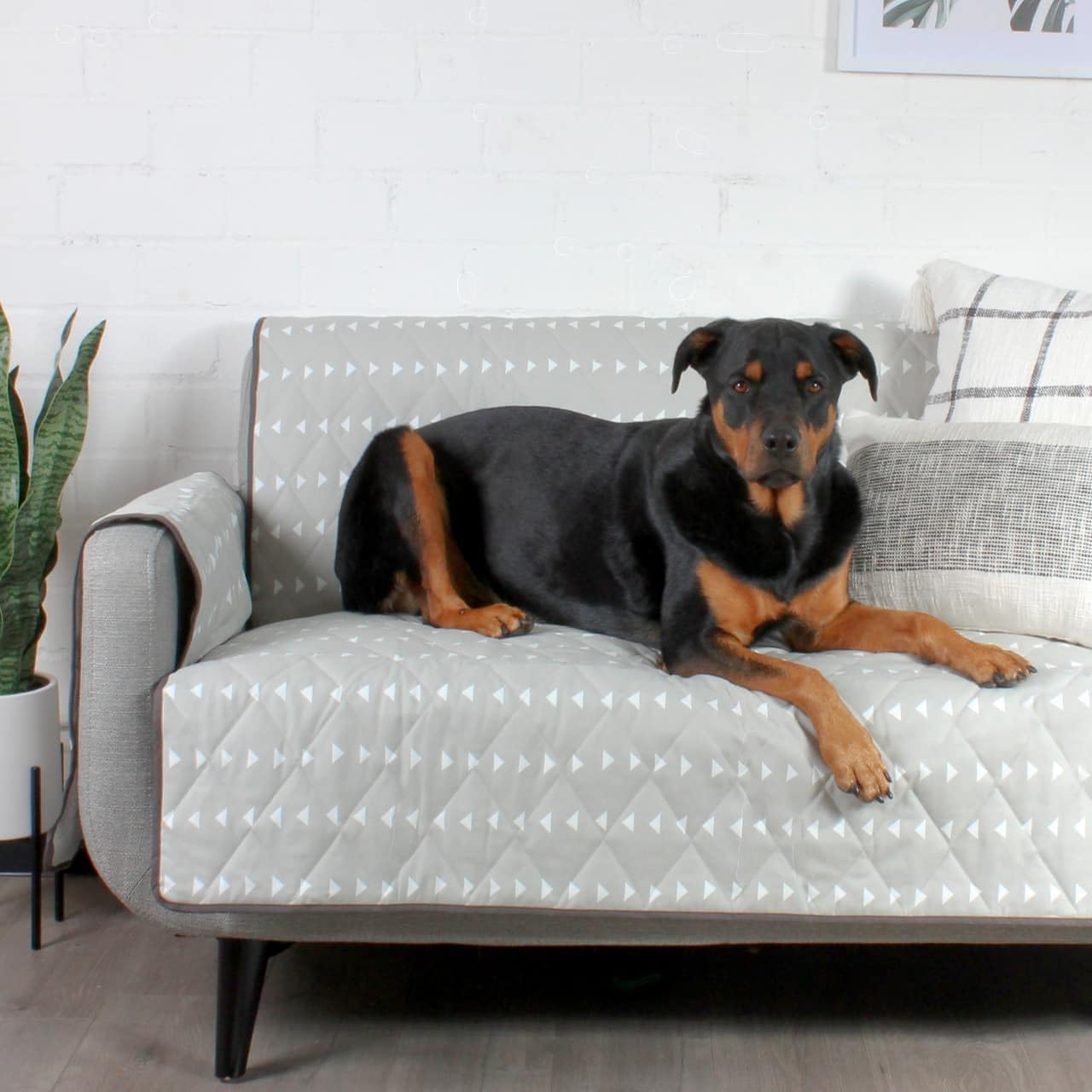 Molly Mutt 3-Seater Non-Slip Furniture Protector and Couch Cover for Dogs & Pets, GOTS-Certified 100% Organic Cotton Canvas Cover, Durable and Non-Toxic Materials, 70' Wide x 78' Long
