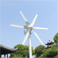 Wind Generator 1000W 24V Wind Turbine Generator With MPPT Controller Wind Turbine Generator With 8 Blades Small Wind Turbine For Home Use Low Noise High Efficiency for Marine RV Home Windmill Gener (6