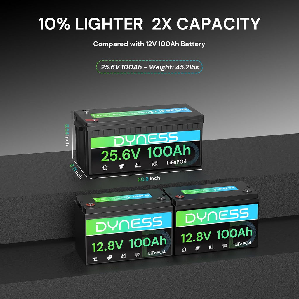 Dyness 24V 100Ah LiFePO4 Battery, 25.6V Lithium Battery with 2560W Power, Built-in 100A BMS with Low Temp Protection, Supports 4P2S Connection, Up to 20.48kWh, Perfect for RV, Solar System, Marine