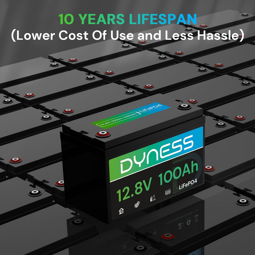 Dyness 12V 100Ah LiFePO4 Battery BCI Group 31 Lithium Battery with Low-Temp Cut Off Protection, A+ Grade Cell Built-in 100A BMS, Perfect for RV, Solar System, Off-Grid, Home Energy Storage