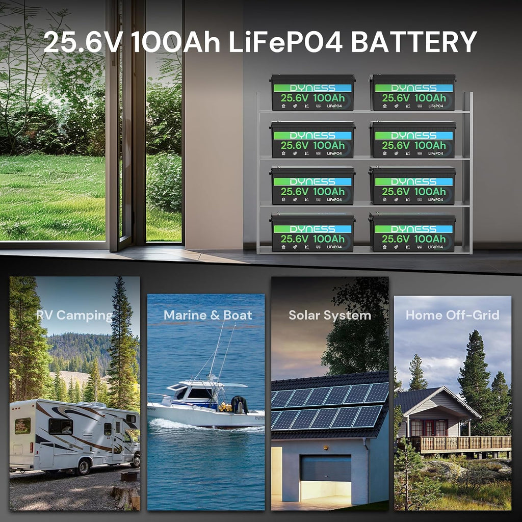 Dyness 24V 100Ah LiFePO4 Battery, 25.6V Lithium Battery with 2560W Power, Built-in 100A BMS with Low Temp Protection, Supports 4P2S Connection, Up to 20.48kWh, Perfect for RV, Solar System, Marine