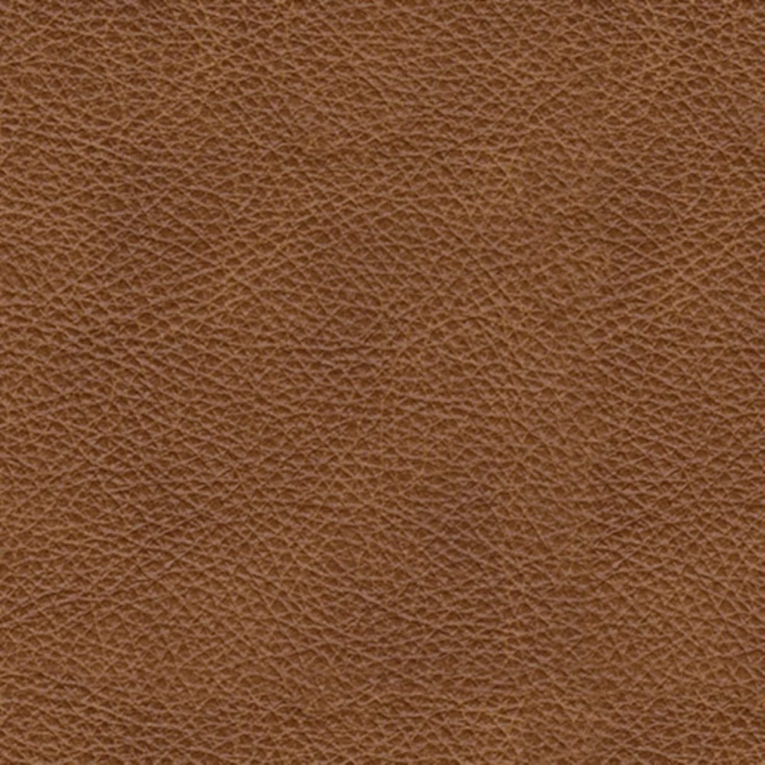 Signature Design by Ashley Carianna Classic 2-in-1 Leather Match Sofa Sleeper with Folding Gel Memory Foam Mattress and Nailhead Trim, Queen, Dark Brown