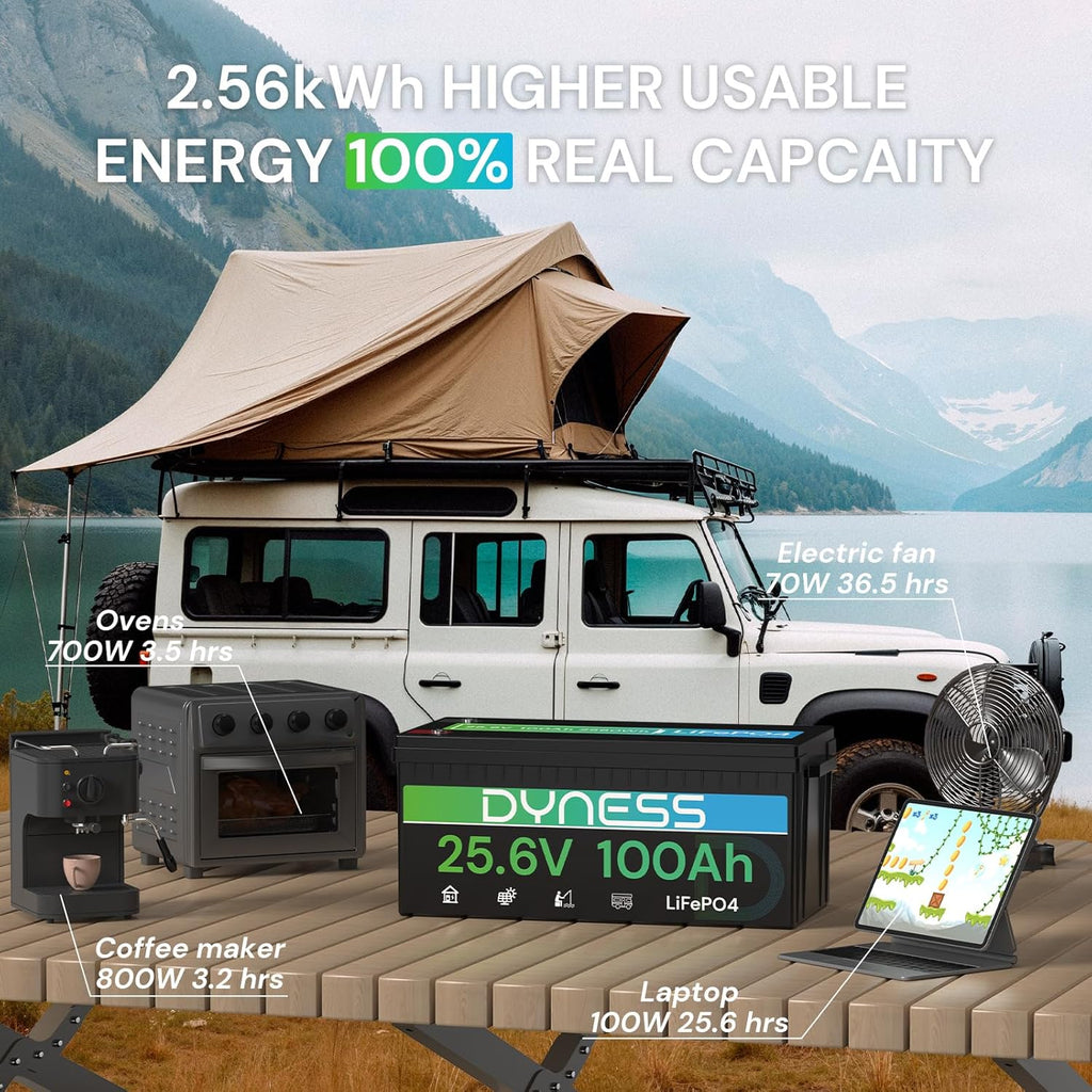 Dyness 24V 100Ah LiFePO4 Battery, 25.6V Lithium Battery with 2560W Power, Built-in 100A BMS with Low Temp Protection, Supports 4P2S Connection, Up to 20.48kWh, Perfect for RV, Solar System, Marine