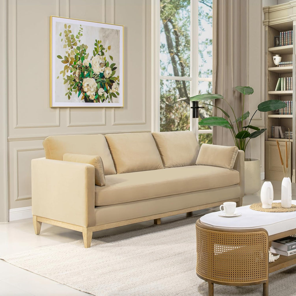 Jennifer Taylor Home Knox 84' Modern Farmhouse Performance Velvet Living Room Sofa Couch
