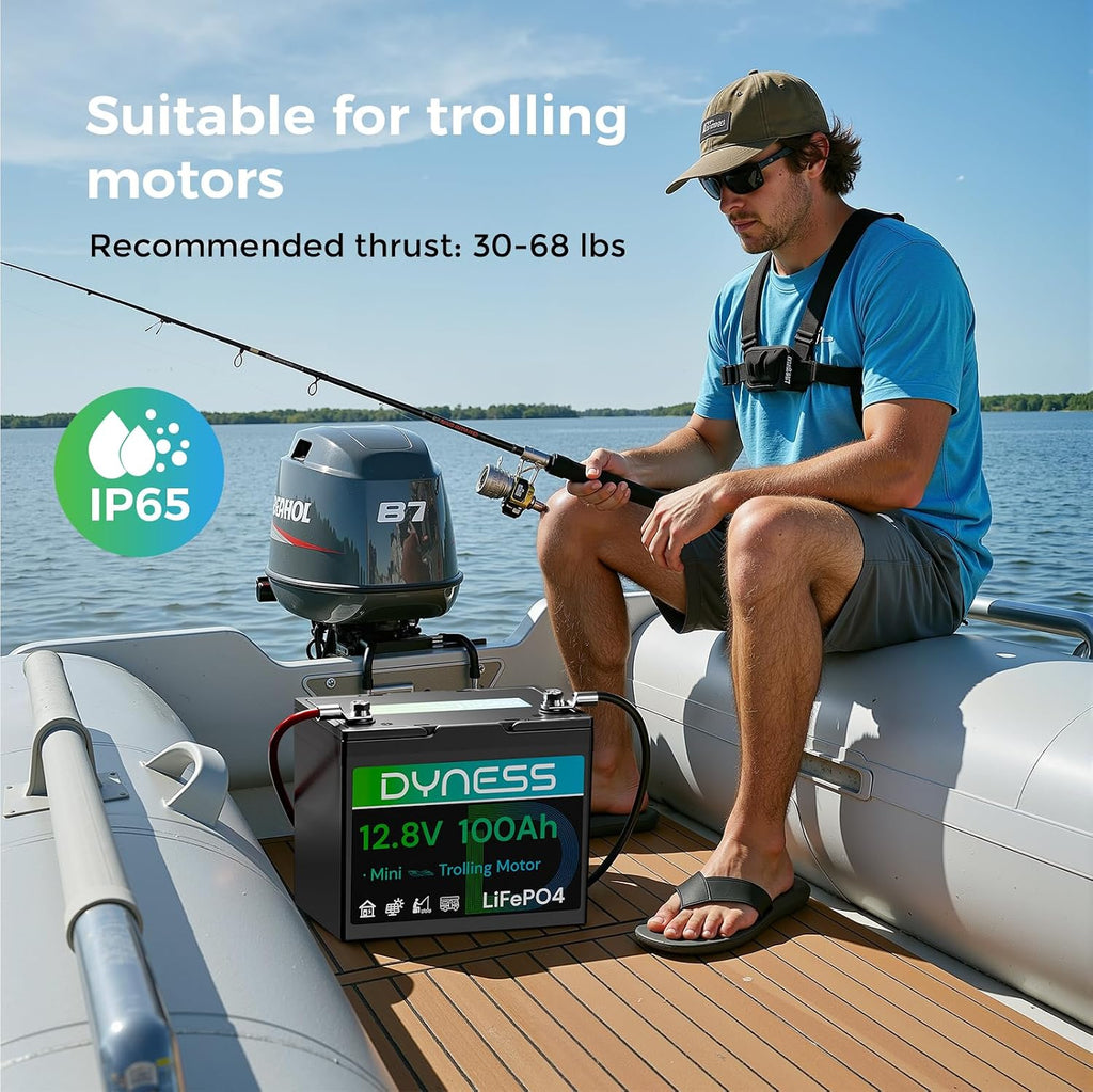 Dyness 12V 100Ah LiFePO4 Battery Mini TM, BCI Group 24, 12V 100Ah Lithium Battery with Low-Temp Protection Built-in 100A BMS, 12.8V Deep Cycles Battery, Perfect for Trolling Motor, RVs, Boat, Marine