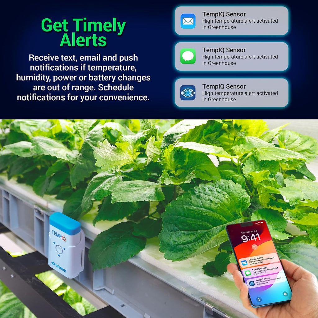 TEMPIQ Remote WiFi 2-Pack Temperature & Humidity Sensor - App Integration, Alerts, Helps Monitor 2nd Home, AirBnb, RV, Pets,Freezer and Server Room, Indoor & Outdoor Hygrometer & Thermometer